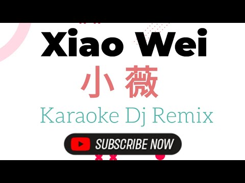 Xiao Wei Karaoke 小薇 Dj Remix (黄品源-Huang Pin Yuan)