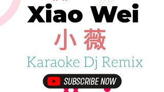 Download lagu Xiao Wei Karaoke 小薇 Dj Remix (黄品源-Huang Pin Yuan) mp3