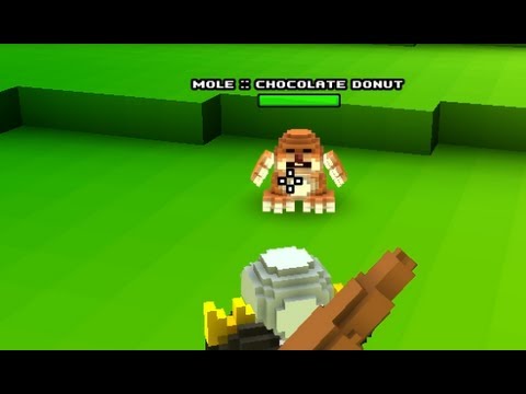 Video preview