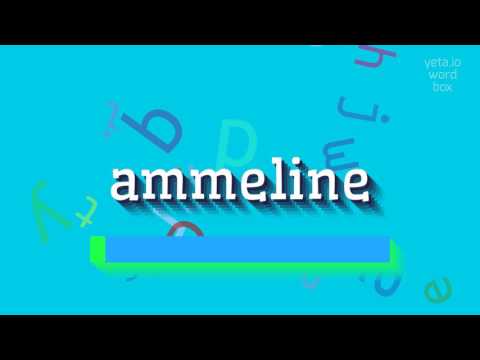 How to say "ammeline"! (High Quality Voices)