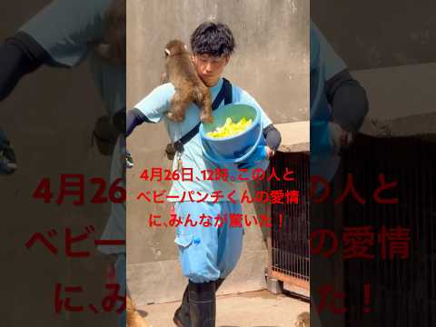 2026 4月26日、12時。この人とベビーパンチくんの愛情に、みんなが驚いた！ #パンチくん
