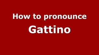 How to pronounce Gattino
