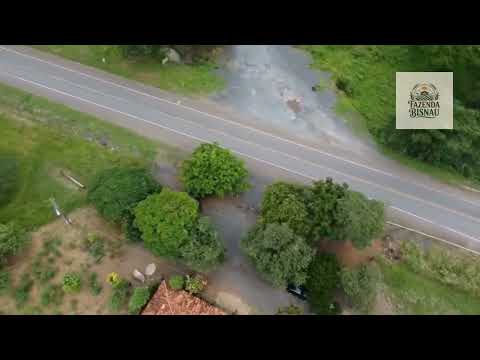 Fazenda Bisnau - Formosa Goiás #fazendabisbau #goiás #formosagoias 