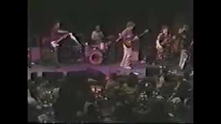 The Feelies - For Awhile - 1990