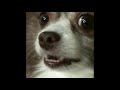 Arf Mp4 Urrg Mp4 Sniz Mp4