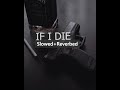 IF I DIE Slowed Reverbed Guri Lahoria Devilo