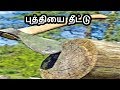 புத்தியை தீட்டு TSK