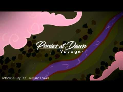 Protocat & Hay Tea - Autumn Leaves (Voyager)