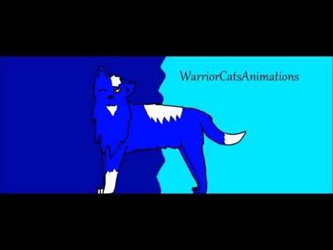 Graustreif und Silberfuss AMV noch nicht fertig