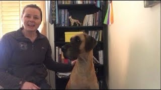 Chicken Broth with ZERO Waste