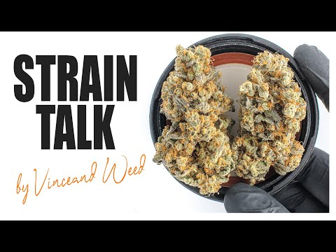 STRAINTALK bei Grandma’s Genetics - 🥦 Banana Joe // Critical Cake // Grandma’s OG 🥦