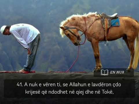 Surja En Nur, ajetet 41-42