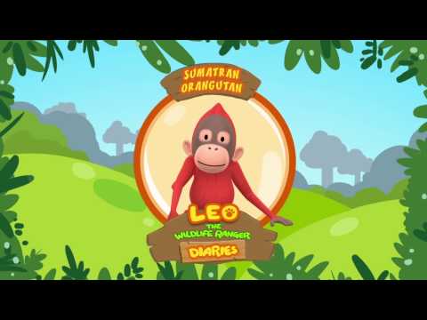 Witness21  2019 08 22