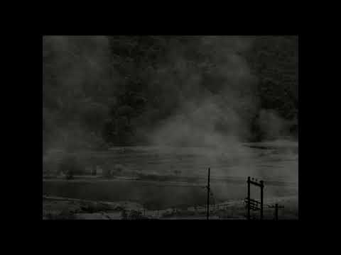 IDFA 2018 | Trailer | And What Is the Summer Saying