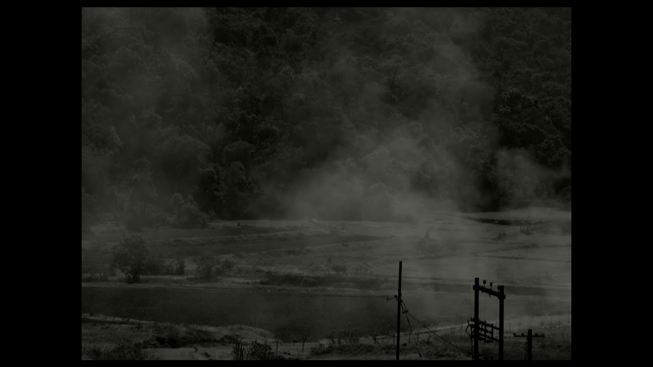 IDFA 2018 | Trailer | And What Is the Summer Saying