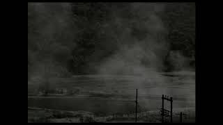 IDFA 2018 | Trailer | And What Is the Summer Saying