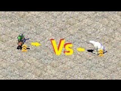 Conscripts vs Bears - Red Alert 2