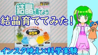 【インスタ映え】結晶育ててみた【科学実験】