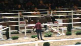 Video of Quite Donaldson II