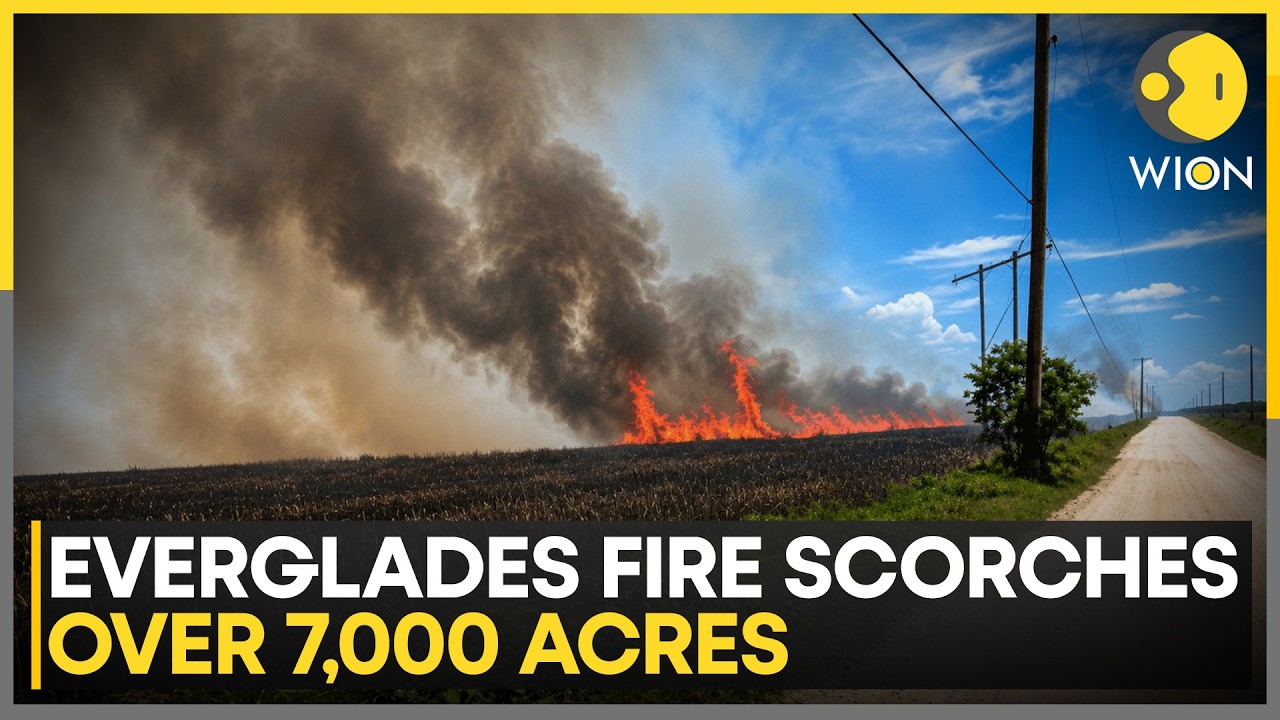 Everglades Wildfire Engulfs 7,000 Acres As Firefighters Battle Massive Blaze | WION