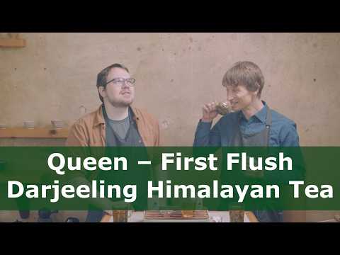 Tea Addicts 2025 – Queen First Flush Darjeeling Himalayan Tea Garden Rohini