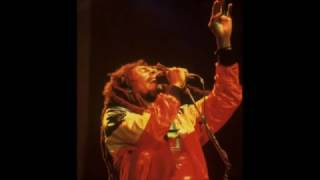Bob Marley - Revolution Live in Wales