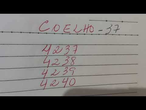 Palpites Sônia Santos p/ JB. 12/11/25. Quarta Feira 