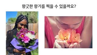 미술 4-1 3단원 감각을 찰칵! 다양한 감각을 사진으로 표현하기