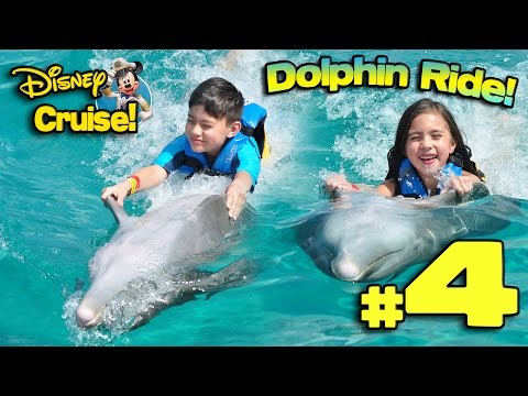 SWIMMING WITH DOLPHINS in MEXICO!!! 4K Disney Cruise Adventure PART 4 Video