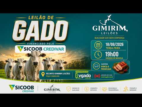 🎥 Leilão Presencial e Virtual Gimirim Leilões - 🎬 tvgado.com.br