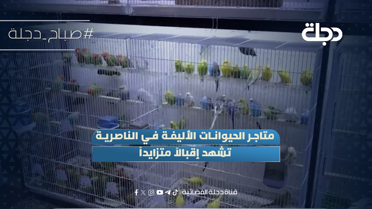 فيديو | متاجر الحيوانات الأليفة في الناصرية تشهد إقبالاً متزايداً