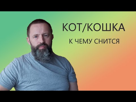 Кот. Кошка. К чему снится Кошка/Кот.