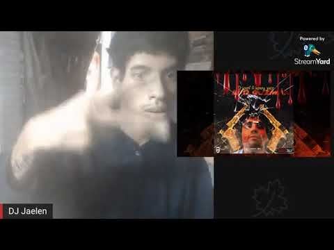 Den Z - Burnin Up (Official Video) Reaction