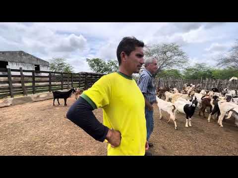 Visita a Fazenda Monte Branco em Barra de São Miguel Paraíba- PB