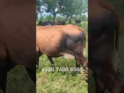Puerto El Triunfo, Usulután Oeste, El Salvador, jueves 16 de julio 2026.