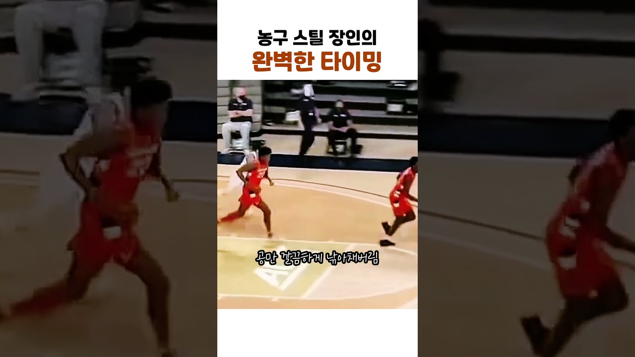 농구 스틸 장인의 완벽한 타이밍