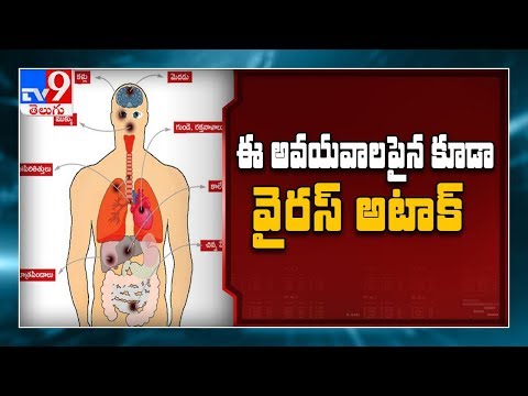 How coronavirus attacks your veins, heart, brain and blood - TV9