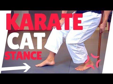BEST KARATE EXERCISES FOR CAT STANCE TRAINING — Jesse Enkamp