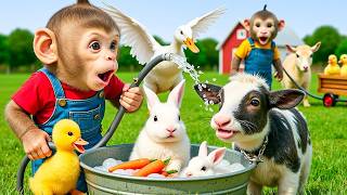 Download lagu دعاء خاشع في اليوم التاسع من شهر رمضان المبارك دعاء خاشغ تهتز له القلوب - Doa Ramadan - علاء عقل mp3