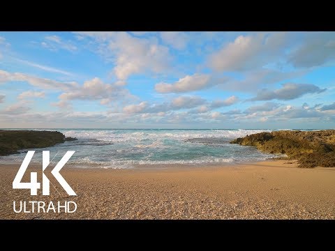 8 HOURS of Soothing Music of Pacific Ocean Waves - 4K Nature Soundscape Video - Part #1
