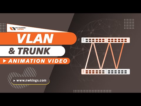 [Hindi] VLAN & Trunk - Animation Video | Network Kings