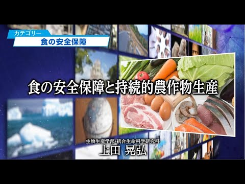 食の安全保障と持続的農作物生産