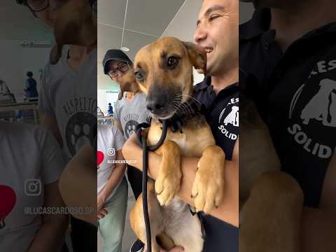 Agora estamos em Bragança Paulista ❤️ #adote  #adoteumpet  #bragançapaulista #pets  #saopaulo