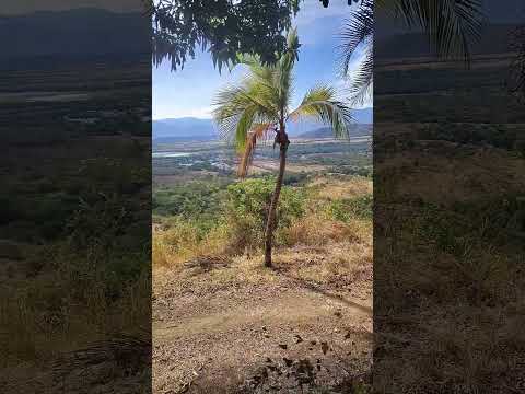 Yaguará Huila Colombia #incendio @alerta #huila