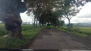 Download lagu Sunda Rasta - Memory Cianjur mp3 Download lagu Sunda Rasta - Memory Cianjur mp3