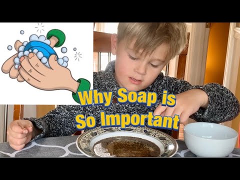 Teaching kids Why Using Soap Is So Important. Pepper and water germ experiment