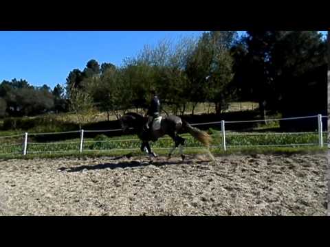 Golias da Coutada - Fábio Vilhena