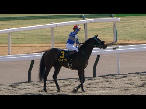 フェブラリーＳよりも盛り上がったかもしれないヒヤシンスＳ 2023 福永祐一JRAでの最終勝利！