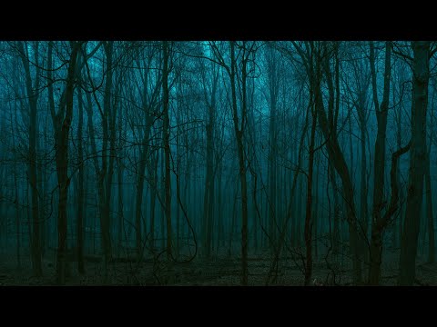 XNFECT - ÆRIS (PROD. ZANCTION)