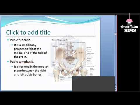 Gross Anatomy: Lower Limb surface landmarks, cutaneaous nerves, fascia lata & modification/ Dr. Hira